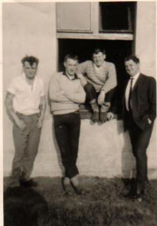 Images/Leaves over.jpg